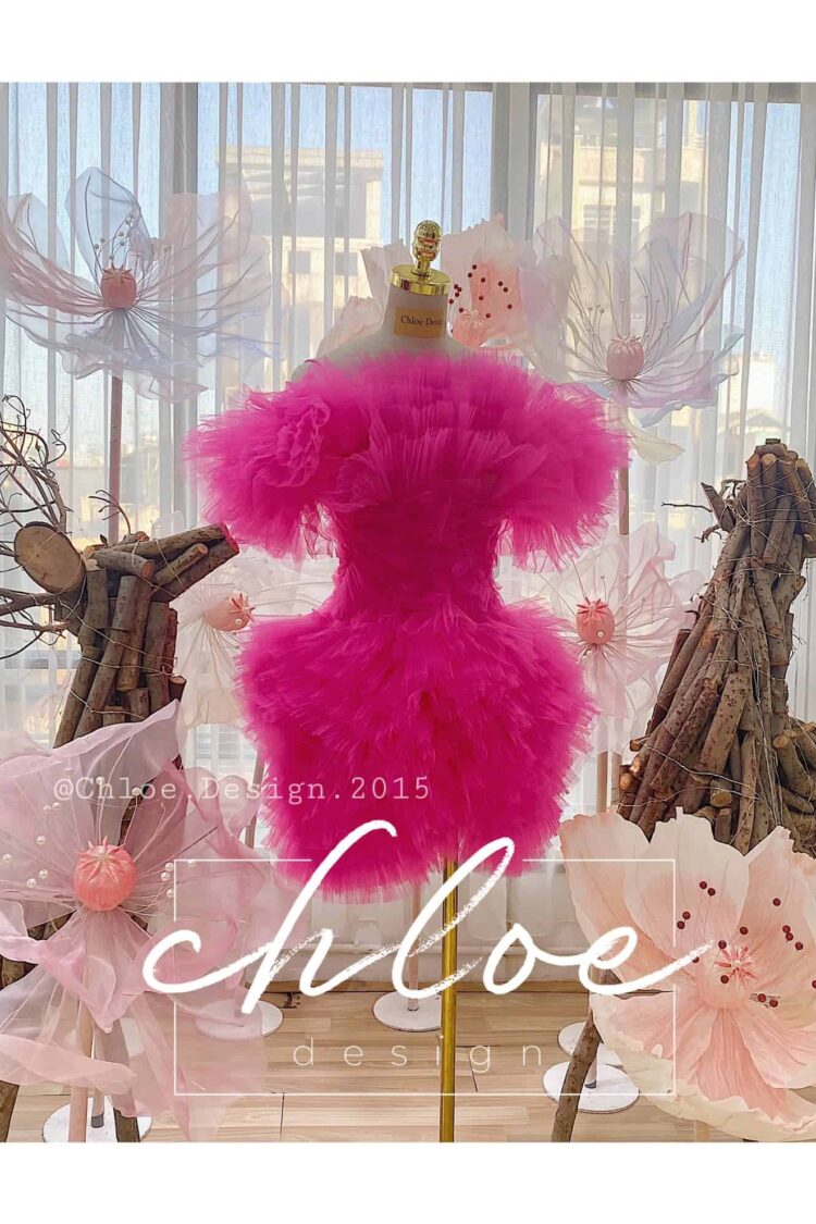 Váy thiết kế Chloe Keva 19