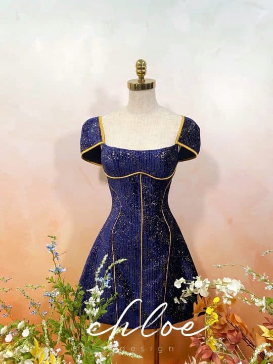 Váy thiết kế Chloe Cary 19 ( Phiên bản có tay )