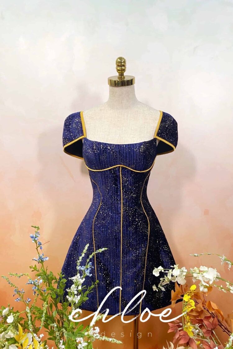 Váy thiết kế Chloe Cary 19 ( Phiên bản có tay )