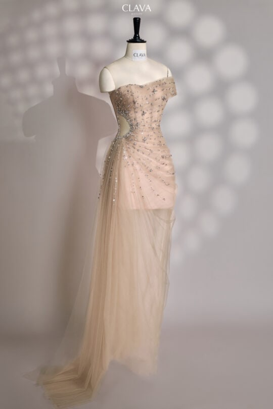 Clava Luna 25 Tailored Dress Design ( Custom Design ) - Ảnh 2